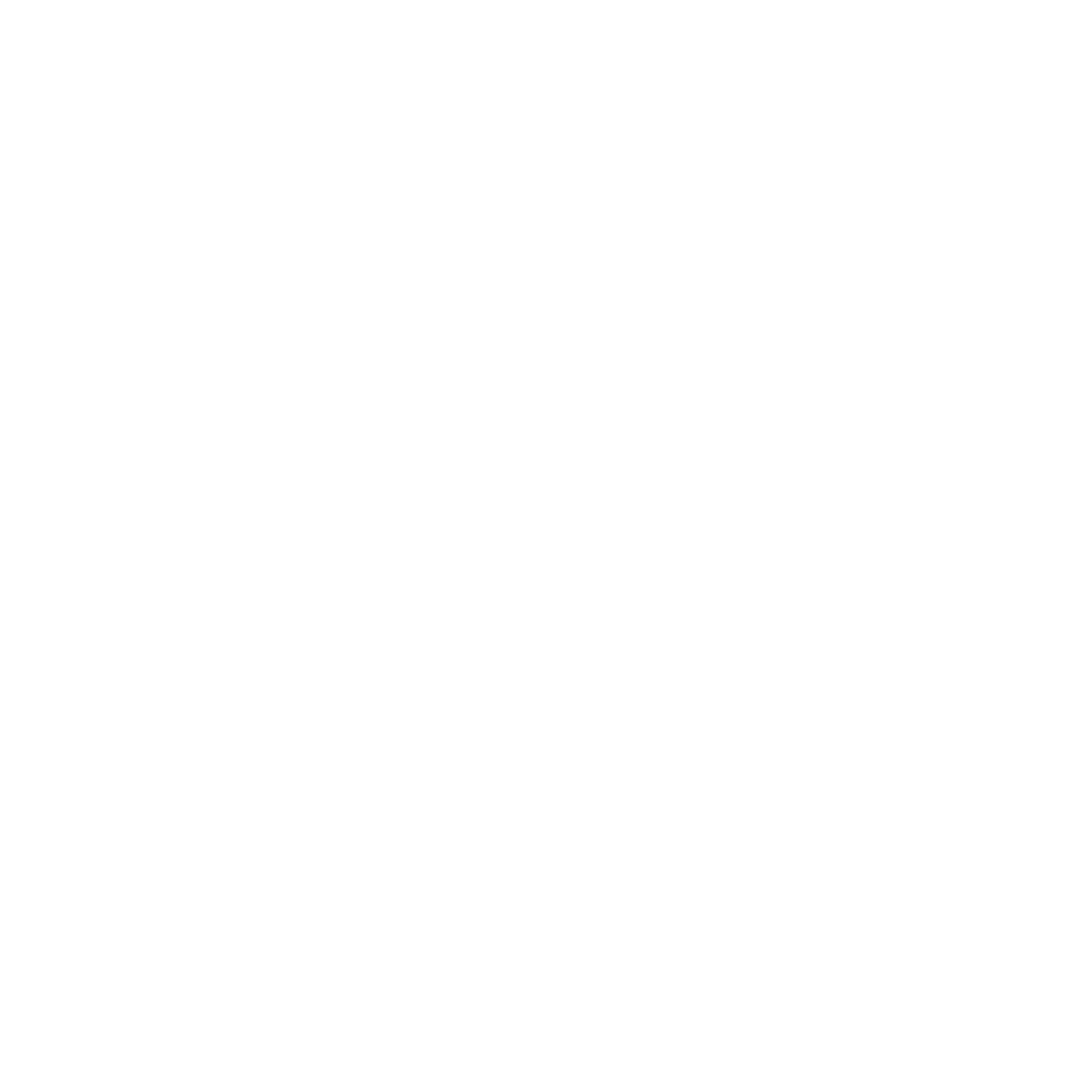 White LOGO copy